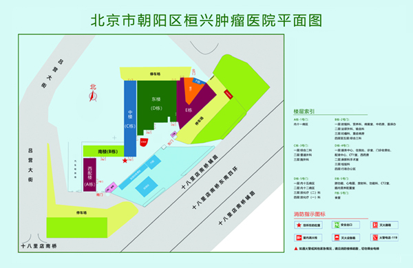 就操小骚逼网址北京市朝阳区桓兴肿瘤医院平面图